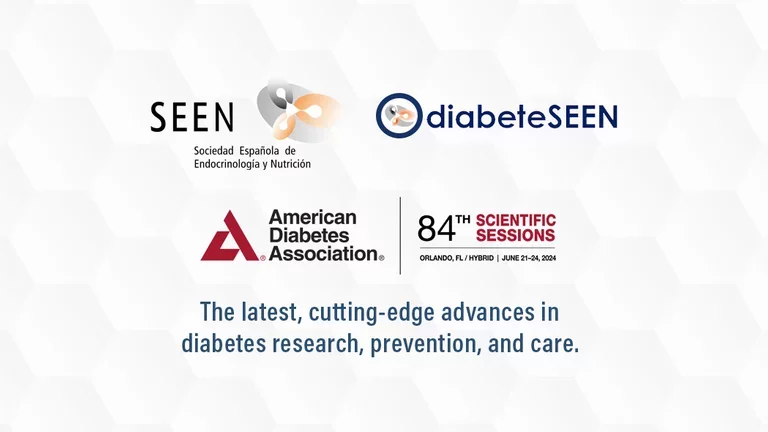 Webinars Highlights SEEN ADA 2024