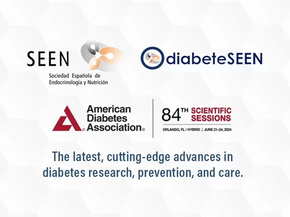 Webinars Highlights SEEN ADA 2024